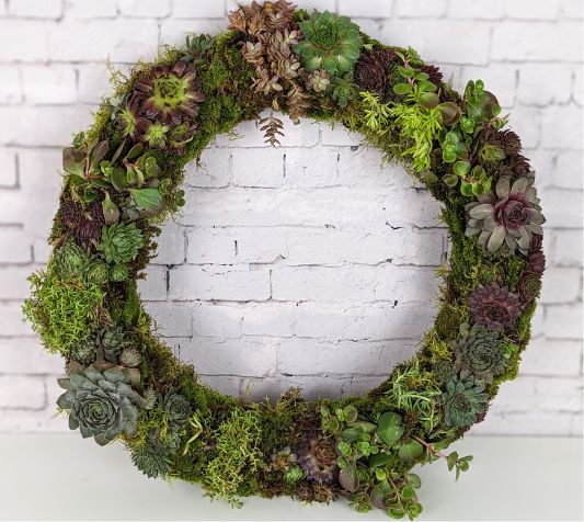 Living Succulent Wreaths 